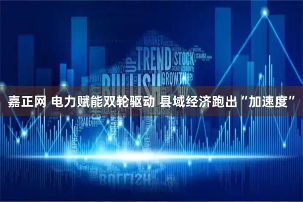 嘉正网 电力赋能双轮驱动 县域经济跑出“加速度”
