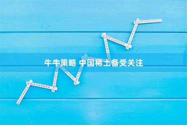 牛牛策略 中国稀土备受关注