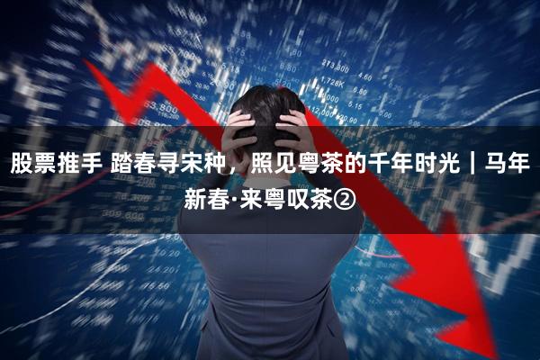 股票推手 踏春寻宋种，照见粤茶的千年时光｜马年新春·来粤叹茶②